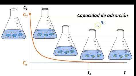 C Mo Elaborar Una Isoterma De Adsorci N Youtube