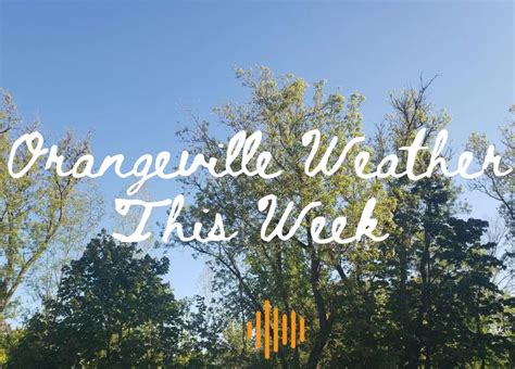 Orangeville Weather This Week – August 22nd | FM101 Orangeville Today