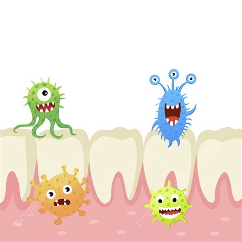 Protección Gingival De Las Bacterias Dentales Png Diente