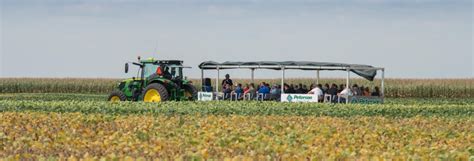 Splitting Fertilizer Application to Gain Yield - Peterson Farms Seed 