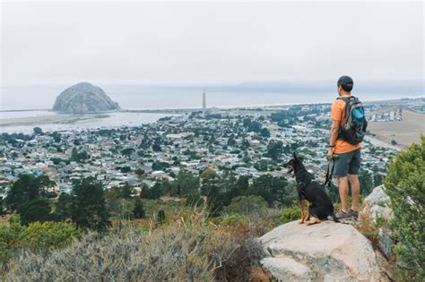 Hiking Black Hill Trail In Morro Bay, California