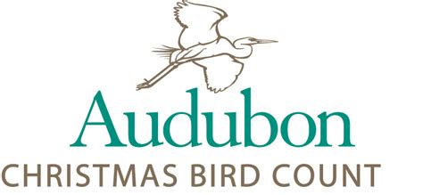 Christmas Bird Count Over A Century Of Birding