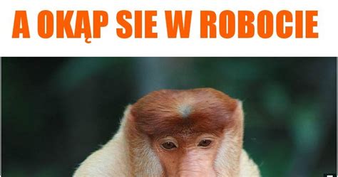 A okąp sie w robocie memy gify i śmieszne obrazki facebook tapety