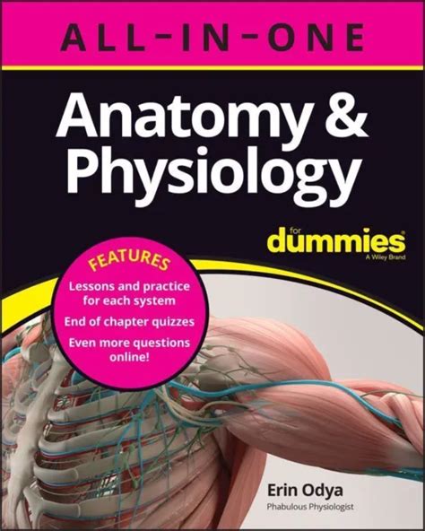 Anatomie Et Physiologie Tout En Un Pour Les Nuls Quiz De Chapitre En