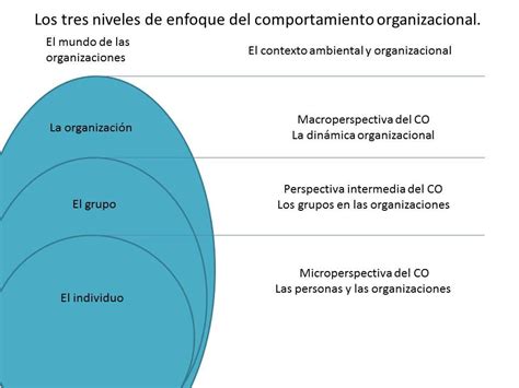 Los 3 Niveles Del Comportamiento Organizacional Administertio