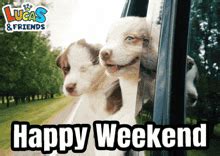 Have A Great Weekend Funny GIFs | Tenor