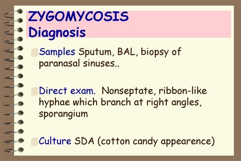 OPPORTUNISTIC MYCOSES - ppt download