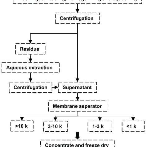 Flow Chart For Extraction Of Aqueous Extracts Of Fresh Purslane The