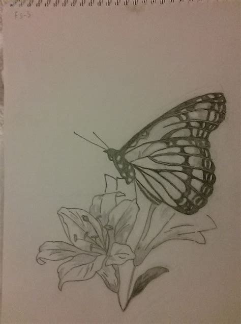 Monarch Butterfly On a Flower Sketch by Animatedobjectsshows on DeviantArt