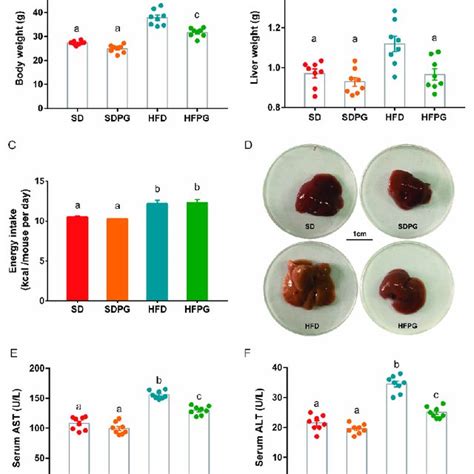 Pg Reduced Fat Accumulation And Liver Injury In Hfd Mice A Body