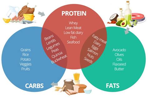 Workout Nutrion Chart Proteins Carbs Fats Fitness Workouts Exercises