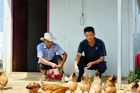 向最美奋斗者致敬！庐江县：战高温斗酷暑坚守一线安徽频道凤凰网