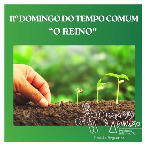 11º Domingo do Tempo Comum 16 de Junho 2024 Religiosas da assunção