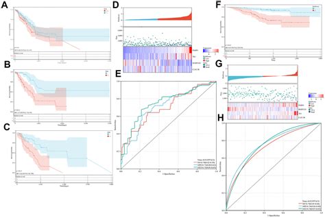 Development And Validation Of A MUC16 Mutation Associated Immune