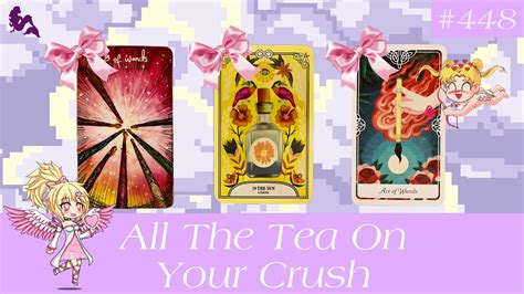 Spilling All The Tea On Your Crush Timeless Pick A Card Tarot