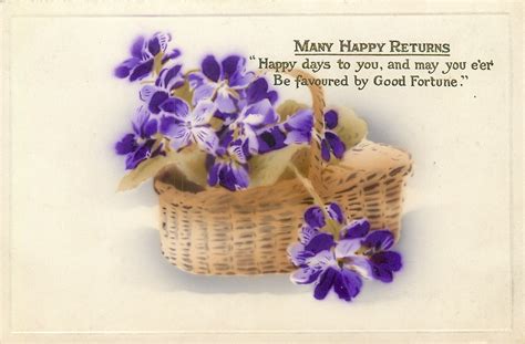 Many Happy Returns Violets In Basket Carte Postale Ancienne Et Vue D