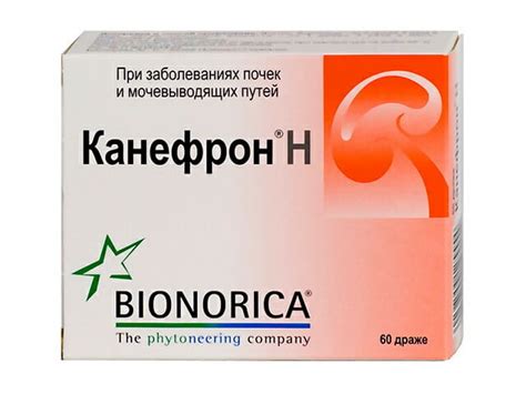 Самые эффективные аналоги Канефрона