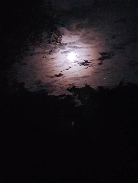The moon