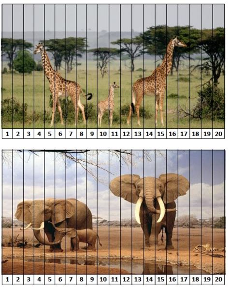 Puzzles numériques GS Mathématiques Grande Section Moyenne Section