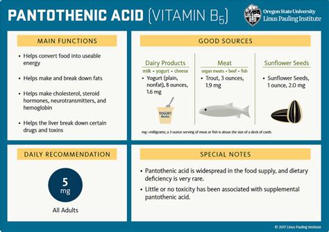 Vitamin B5 Pantothenic Acid Benefits Food Sources Side Effects Safety