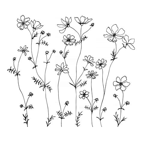 Small wildflowers line hand drawn illustration with summer wildflowers ...