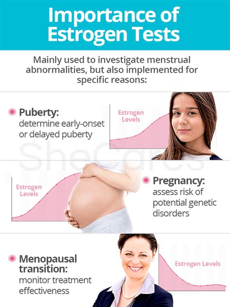 Estrogen Tests | SheCares