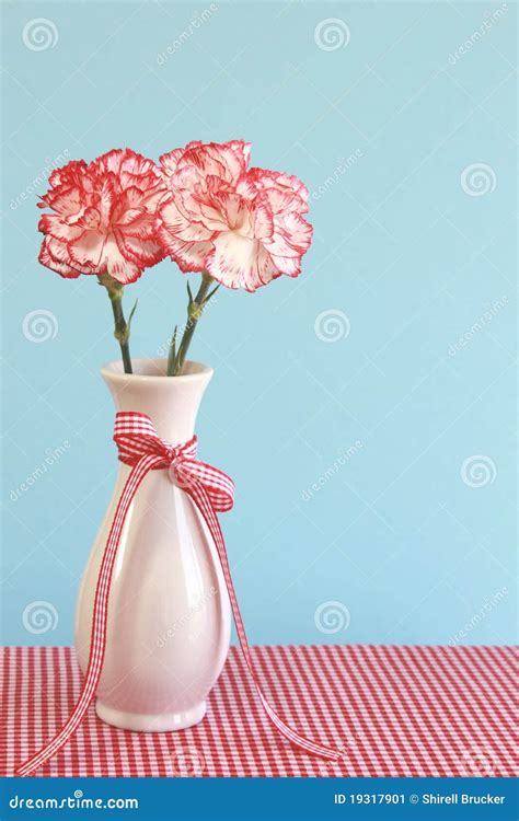 Red And White Carnations In A Vase Stock Image Image Of Tablecloth