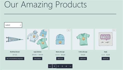 C Mo Usar El Bloque Woocommerce De Todos Los Productos Shopihunter