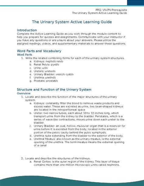 Urinary System Active Learning Guide Communicate With Your Instructor