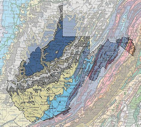 19 WV Fossils and...... ideas in 2021 | fossils, west virginia, geology