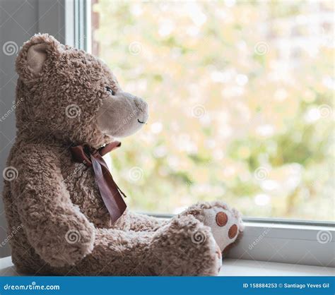 A Brown Teddy Bear Looking Out Through A Window Stock Image Image Of Frame Light 158884253