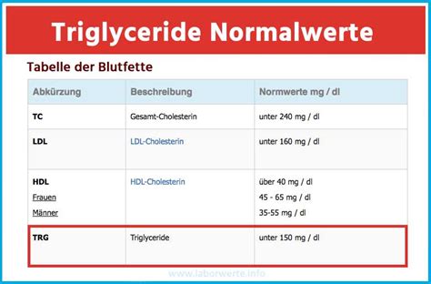 Triglyceride Sind Wichtige Blutfette Einfach And Schnell Erklärt