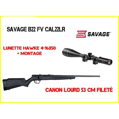 Carabine 22lr Cz Browning Webley Scott Marlin