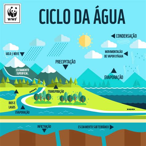 Ciclo Da Água Biota Do Futuro