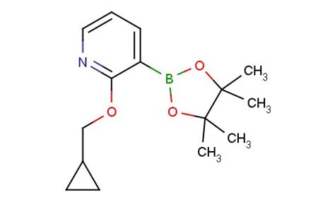 848243 26 5 2 环丙基甲氧基 3 4 4 5 5 四甲基 1 3 2 二氧杂环戊硼烷 2 基 吡啶 科邦特化工