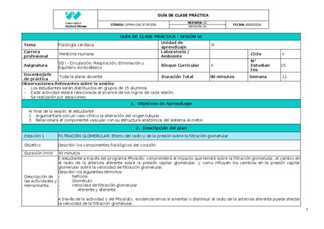 Semana 11 Guía de Práctica CÓDIGO UPNW GAC FOR VERSIÓN 02 REVISIÓN