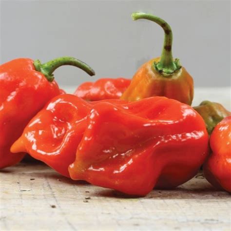 Caribbean Hot Peppers