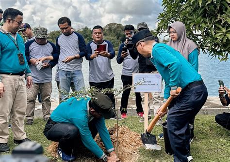 Pln Nusantara Power Hijaukan Danau Rusa Peringatan Hari Menanam Pohon