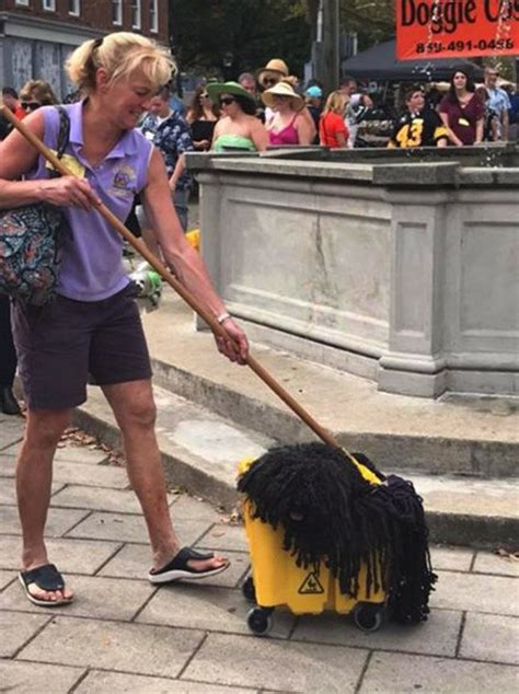 Ni Famosos Ni Ricos Un Perro Ganó El Premio Al Disfraz Más Original De Halloween Infobae