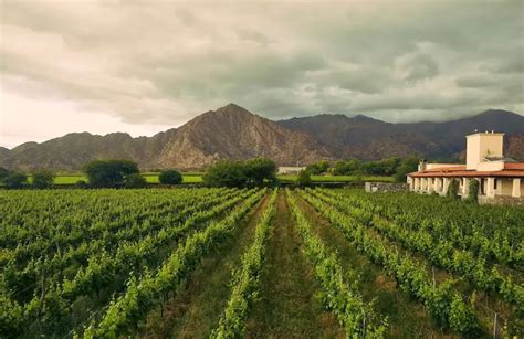 20 Cosas Para Hacer En Cafayate