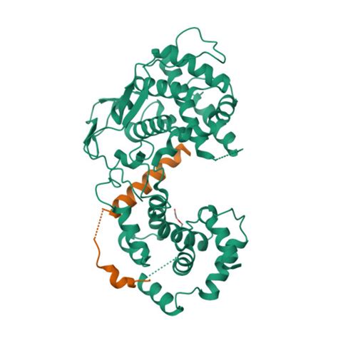 Rcsb Pdb B V Crystal Structure Of The Rabies Virus Rna Free