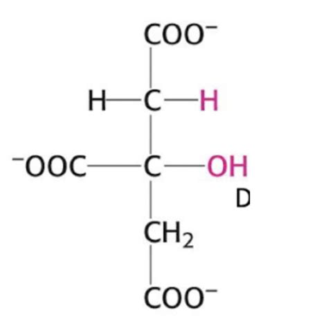 Biochemie Citratzyklus Strukturformeln Karteikarten Quizlet