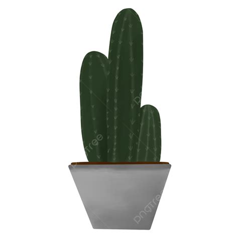 Planta En Maceta Png Cactus Planta De Casa Clipart De Cactus Png Y Psd Para Descargar Gratis