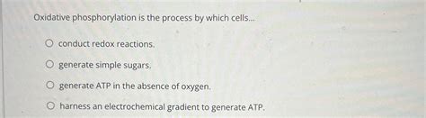 Solved Oxidative phosphorylation is the process by which | Chegg.com 