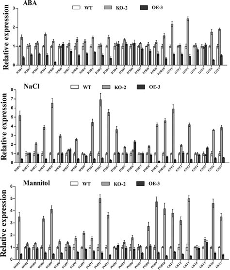 Analysis Of The Expressions Of SOD POD And GST Genes In WT OE And KO