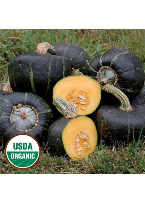 Preventing Buttercup Squash From Becoming Mushy