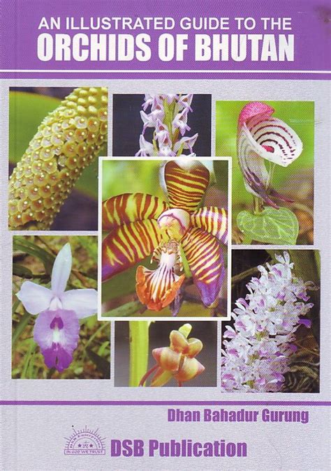 An Illustrated Guide To The Orchids Of Bhutan Nhbs Field Guides