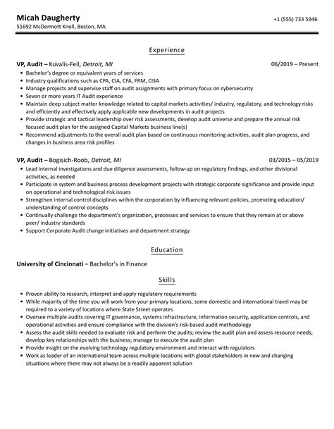 Vp Audit Resume Samples Velvet Jobs