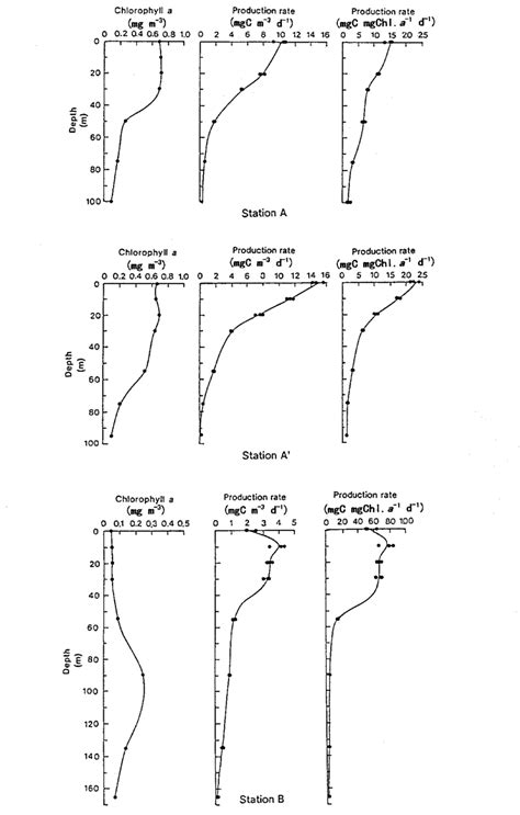 Vertical Profiles Of The Concentration Of Chlorophyll A And Download Scientific Diagram