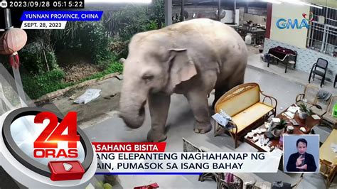 Dalawang Elepanteng Naghahanap Ng Makakain Pumasok Sa Isang Bahay 24